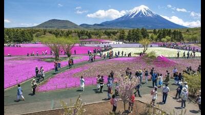 For Indians, Japan is a unique country to visit. Almost unknowingly, we have prepared all our lives for that Japan trip. (Shutterstock)