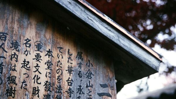 The Japanese proverb highlights that tiny, consistent actions can lead to major achievements.