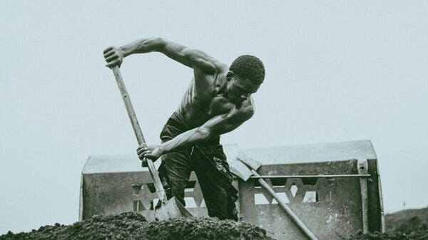 French Proverb of the Day: ‘We don’t teach the old monkey to make a face’ (Representative image)