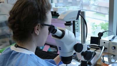 10 US scientists researching UFOs, nuclear power dead or missing since mid-2023 (Pixabay - representational image)