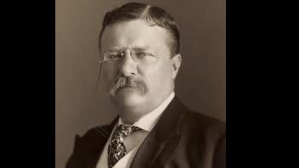 Quote of the day by Theodore Roosevelt.