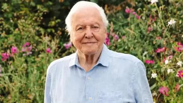 Sir David Attenborough turns 100.