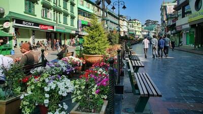 Development acquires permanence only when it grows from the confidence of communities, and Sikkim offers compelling evidence of that truth. (Shutterstock)