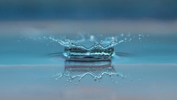 Quote of the Day by Thomas Fuller: ‘The worth of water...’ Why people often understand value only after loss