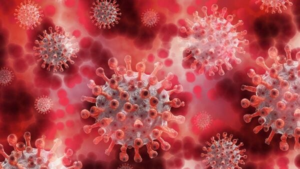 WHO reported low transmission risk associated with Nipah virus.