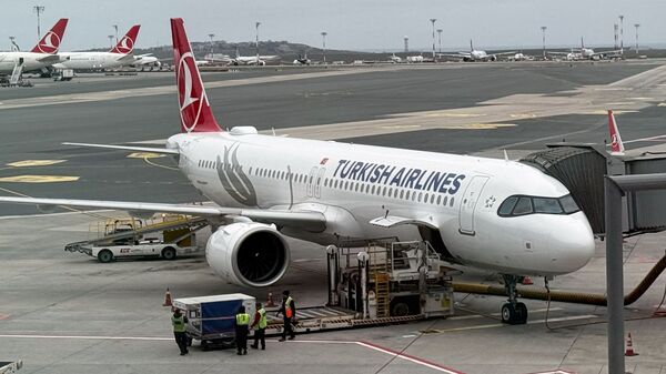 A Turkish Airlines Airbus aircraft (Representative Image)