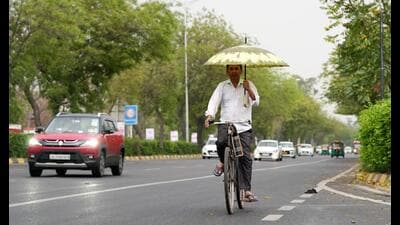 In urban areas, trees, shrubs, landscaped grass act as a natural air filter, mitigating the urban heat island effect, and absorb toxic greenhouse gases. Nature offers some of the most powerful and cost-effective solutions available to us. (PTI)