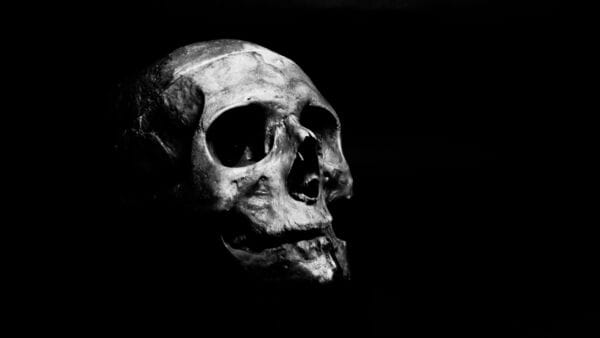 Man found cooking human body parts; police find skulls, lower leg, hand: Social media reacts