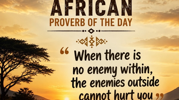 African Proverb Of The Day