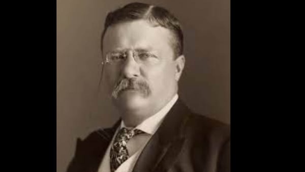 Theodore Roosevelt’s powerful quote explains why progress begins before conditions are perfect