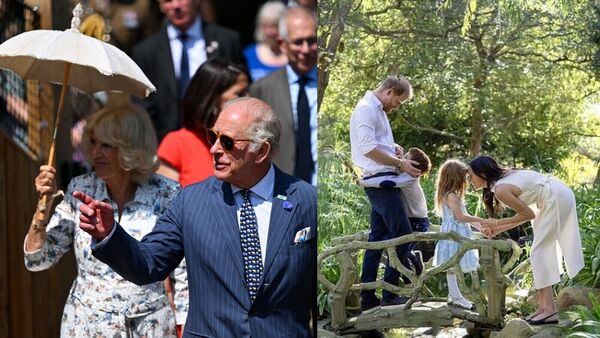 King Charles, Queen Camilla, Harry, Meghan and their kids (representative image)