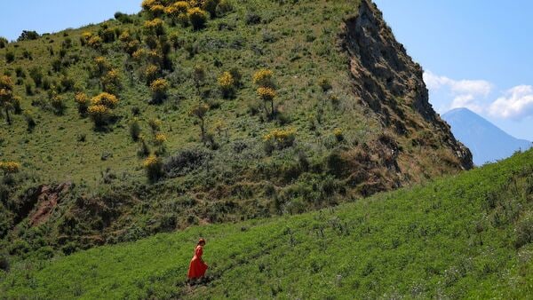 FILE PHOTO: A woman walks up a hill before a protest against a luxury resort plan by a company linked to U.S. President Donald Trump's son-in-law, Jared Kushner, on an environmentally sensitive part of the Adriatic coast, in Zvernec near Vlora, Albania June 6, 2026. REUTERS/Florion Goga/File Photo