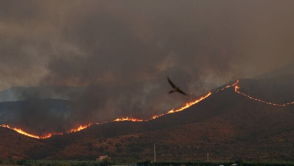 Spain wildfire kills at least 12, victims burned in cars as roads turned into death traps: ‘Quite terrifying’