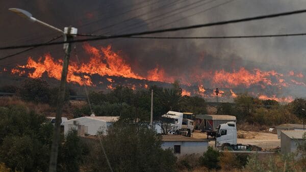 Smoke and flame rises amid deadly wildfires affecting Almeria province, in Los Gallardos, Almeria, Spain, July 10, 2026. REUTERS/Violeta Santos Moura 