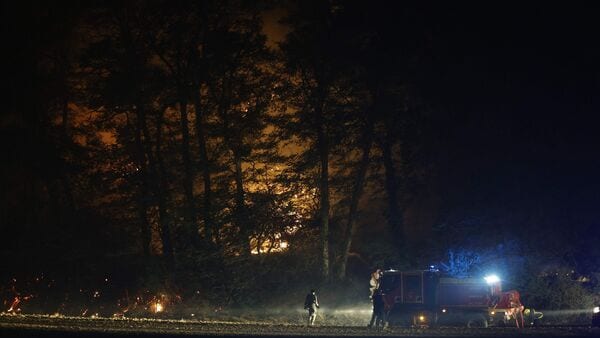 Firefighters work to put out a forest fire in the Fontainebleau forest, southeast of Paris, France, on 13 July 2026.