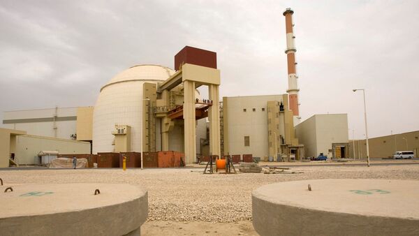 FILE PHOTO: A view of the reactor at Iran's nuclear power plant in Bushehr, February 25, 2009.