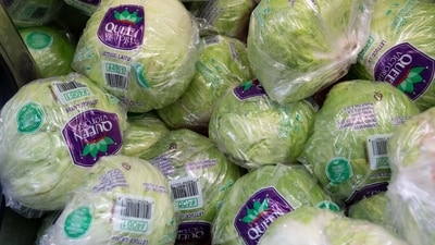 Lettuce for sale at a store in San Francisco, California, US, on Wednesday, June 17 (Bloomberg)