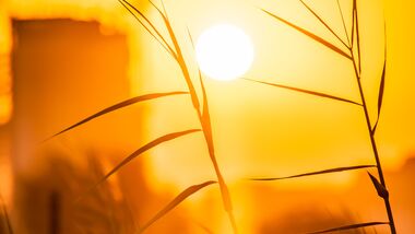 The most dangerous heat is forecast across Texas, Oklahoma, Kansas, Nebraska, Arkansas, Louisiana, Mississippi, Alabama, Georgia and parts of Tennessee. (Representative image: Pexel)