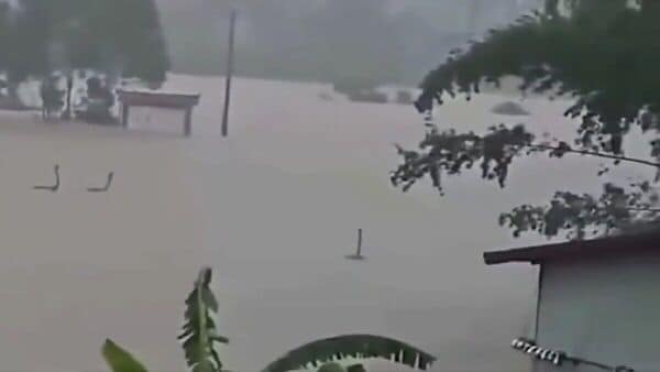 Videos circulating online showed snakes slithering through floodwaters