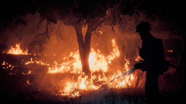 Spain's Military Emergencies Unit (UME) personnel fighting a wildfire near Almorox, 70 kilometers southwest of Madrid.
