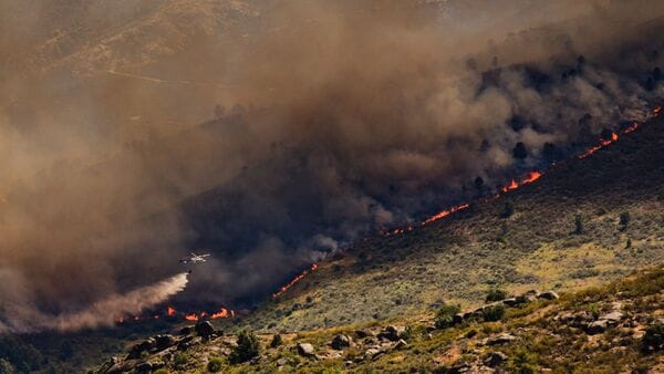 A wall of flames advances as a wildfire burns near Burgohondo, in Ávila province, Spain, Thursday, July 23, 2026. (Mateo Lanzuela/Europa Press via AP)