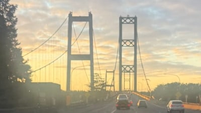 A view of the Tacoma Narrows Bridge in Gig Harbor. (X/@BakoJer)