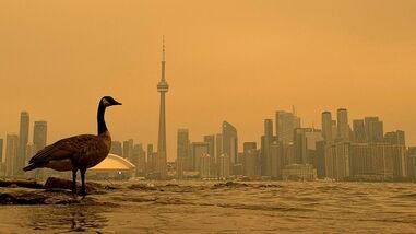 A Canada Goose stands on the shoreline of the Toronto Islands, on Lake Ontario, as the downtown skyline is covered by wildfire smoke during a heat wave in Toronto, Ontario, Canada, July 15, 2026. Picture taken using a mobile phone. REUTERS/Kyaw Soe Oo