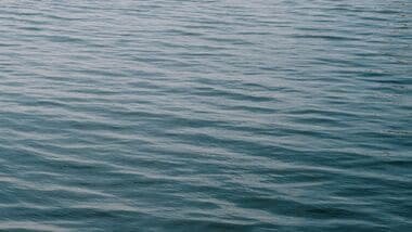 Infections can occur when an open wound comes into contact with saltwater or brackish water. (Representative Image)