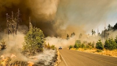 Multiple wildfires are burning across the Washington state. (UnSplash)
