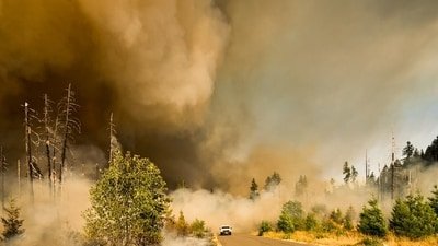 The fast-moving Hawk Fire has scorched about 8000 acres northwest of Reno, triggering mandatory evacuations (Representational) (Unsplash)
