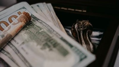 New US OPT fee proposal reaches White House as Trump administration weighs major post-study work changes. (Representational image) (Unsplash)