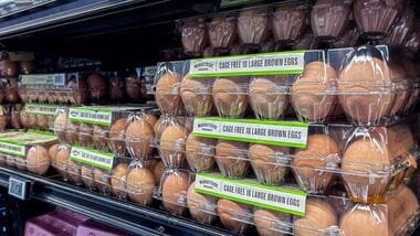 Nearly 1.6 million dozen eggs recalled over potential Salmonella contamination have been linked to a multistate outbreak that has sickened 98 people, US health authorities said. (Photo by RONALDO SCHEMIDT / AFP)