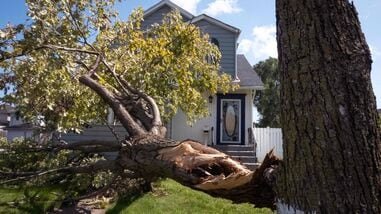 GARY, INDIANA - AUGUST 20: A tree toppled during a recent storm rests in front of a home on August 20, 2026 in Gary, Indiana. Many residents in Gary have been without power for nine days after the storm passed through the city downing trees and power lines. Power is not expected to be restored for all Gary residents for several more days.