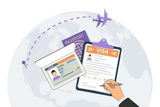 New Zealand announces 'important' visitor visa rules: Over 20 visa to be impacted; check details here